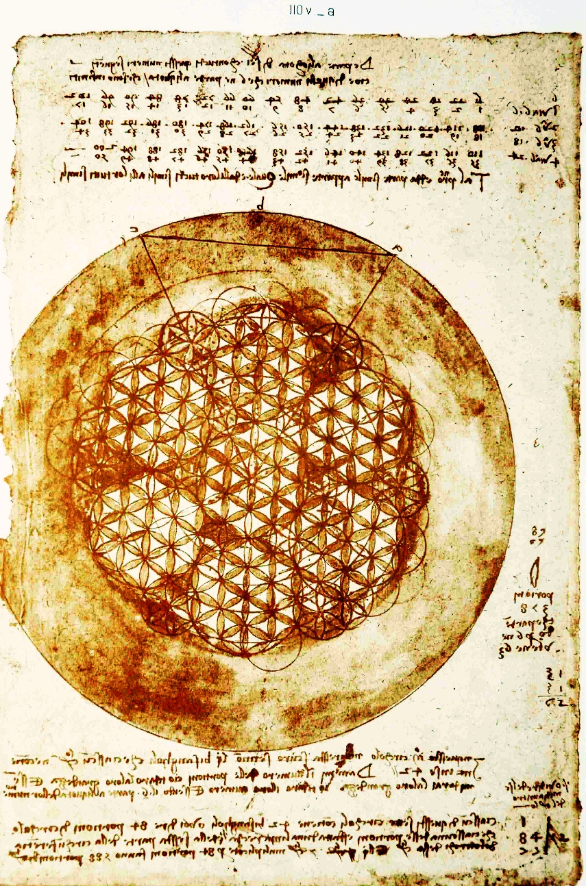 Karta Codex Atlanticus Leonarda da Vinci z geometrycznym rysunkiem wzoru nazywanego dziś Kwiatem Życia