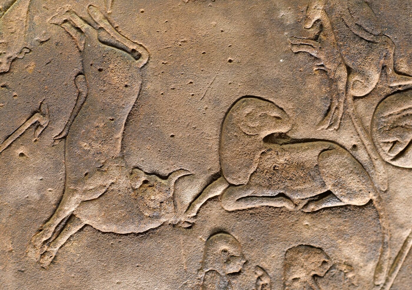 Fragment płaskorzeźby zodiaku z Dendery z figurami byka i barana