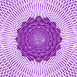 Czakra Korony – Sahasrara