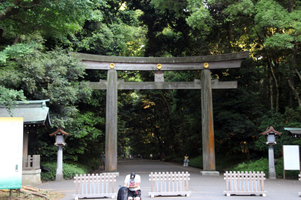Torii z drewna cedrowego w Meiji-jingu Duża niemalowana brama torii z drewna cedrowego pośród drzew
